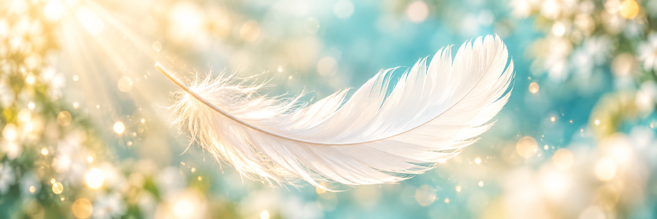 Pluma blanca sobre un fondo luminoso